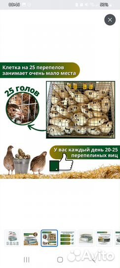 Клетка для перепелов