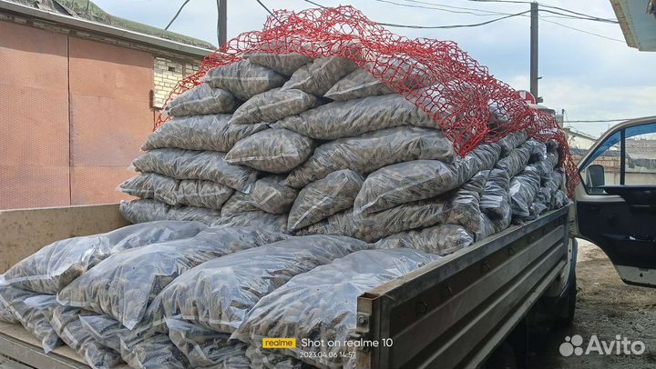 Сосновые шишки Мульча