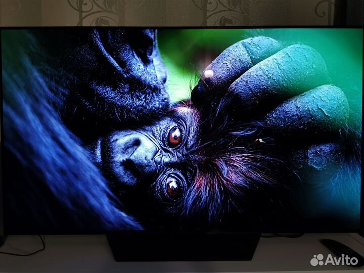 LG Oled55b2rla