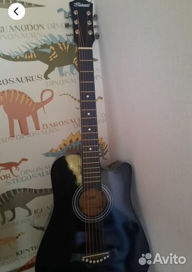 Акустическая гитара
