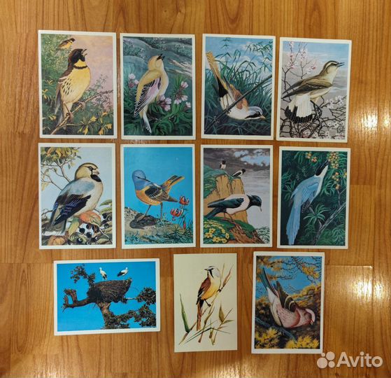 Открытки СССР