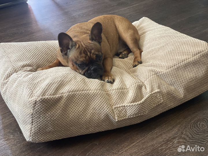 Лежак для собак