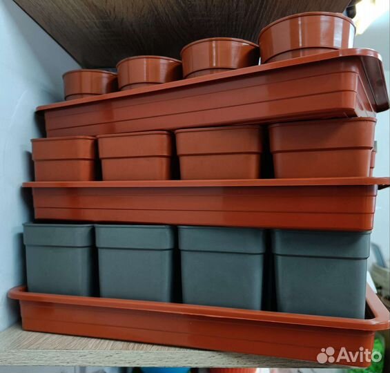 Рассадники 0,5л; 0,7л; 0,9л