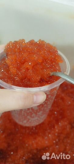 Икра Кеты Камчатка
