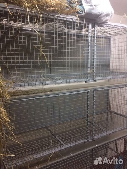 Клетки для кроликов,кур,перепелов.Брудеры
