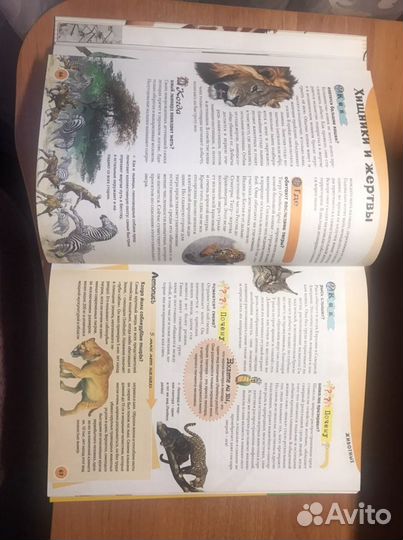 Энциклопедия школьника