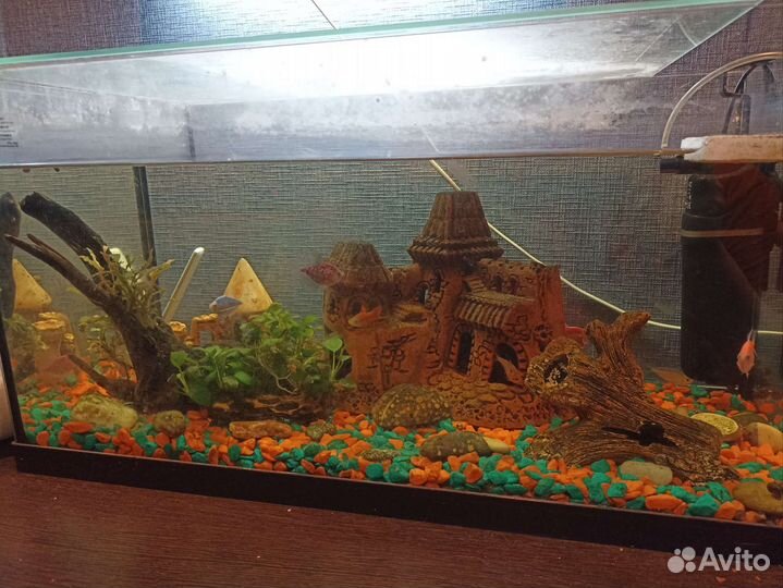 Аквариум