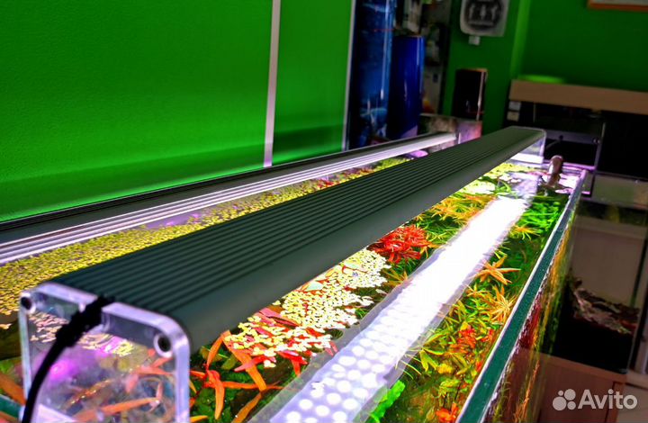 Аквариумные светильники 