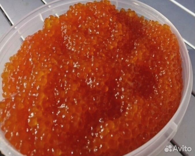 Красная икра 2024 камчатка