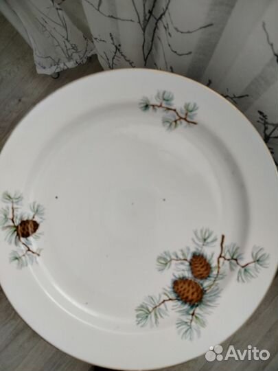 Большая тарелка блюдо