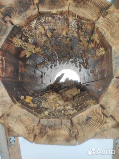 Продам колоду для пчел
