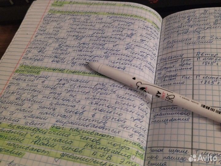 Пишу конспекты