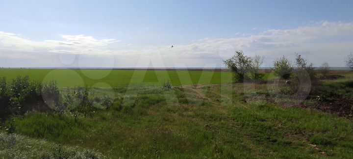 Участок 3,8 га (СНТ, ДНП)