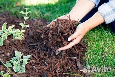 Кора лиственницы, кора сосны, спилы, шишки