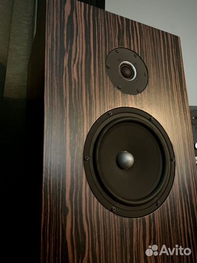 ASH Audio акустика колонки Израиль двухполоска топ