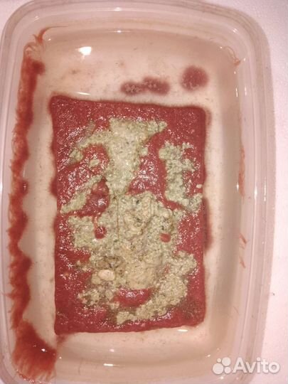 Живой корм для аквариумных рыбок