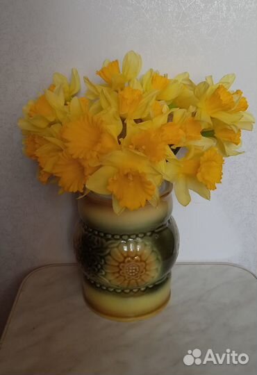 Ирисы, Нарциссы,мускари