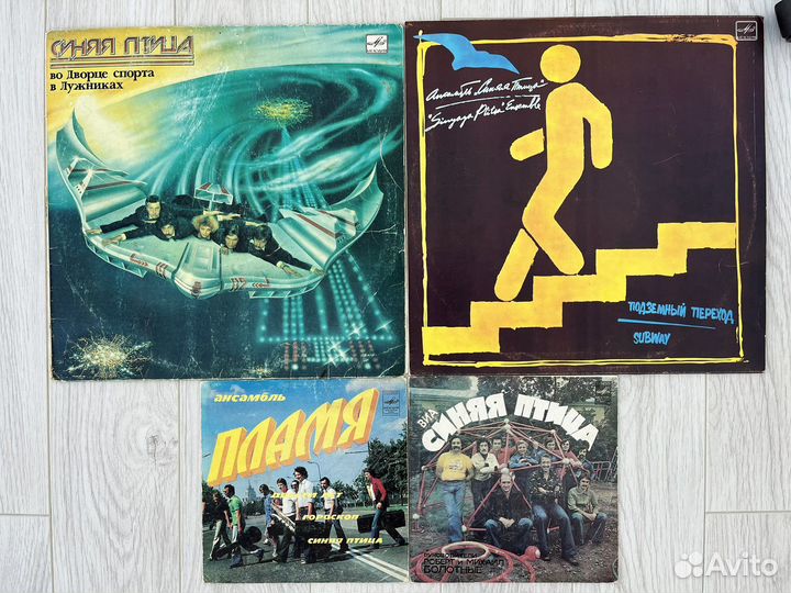 Синяя птица - виниловые пластинки