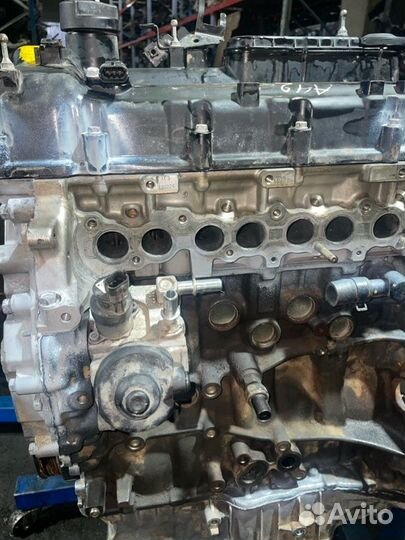 Двигатель Kia D4HB AU162614