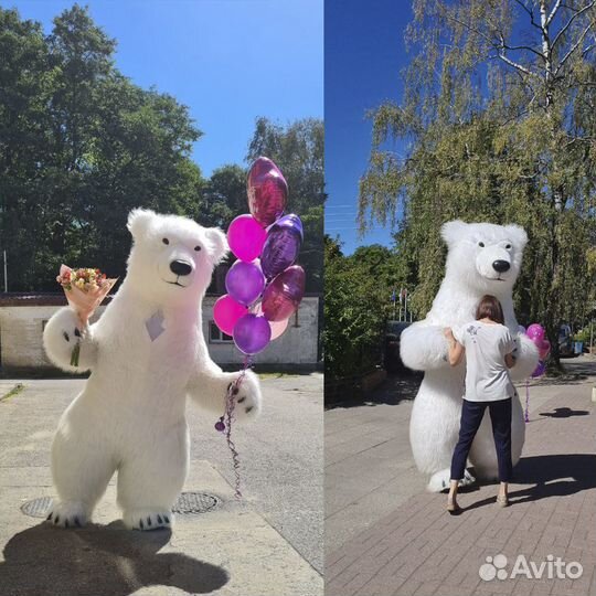 Поздравление от Белого Мишки. Медведь аниматор