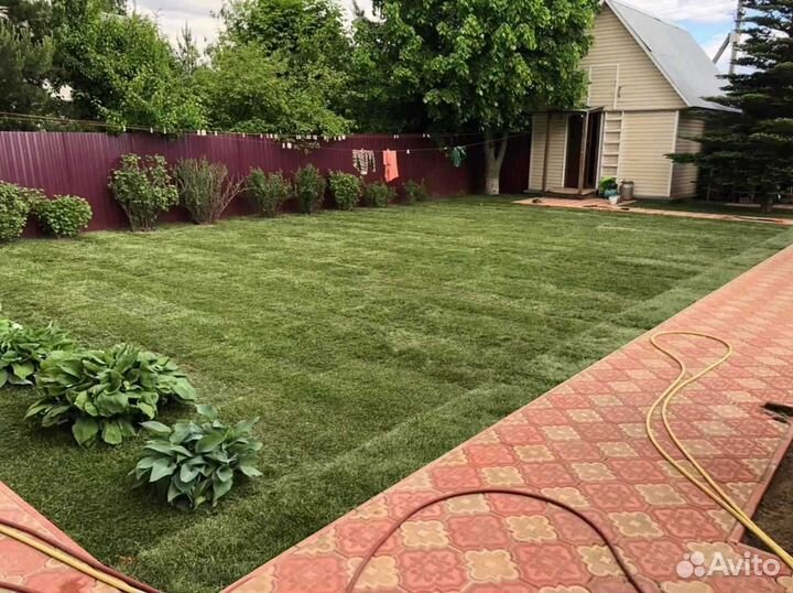 Укладка и продажа рулонного газона