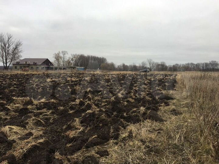 Участок 50 сот. (ИЖС)