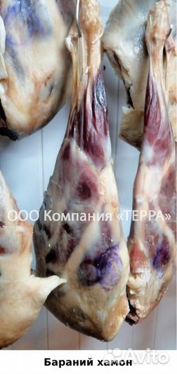 Хамон бараний