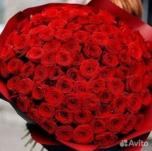 Высокие розы Гигантские розы 110