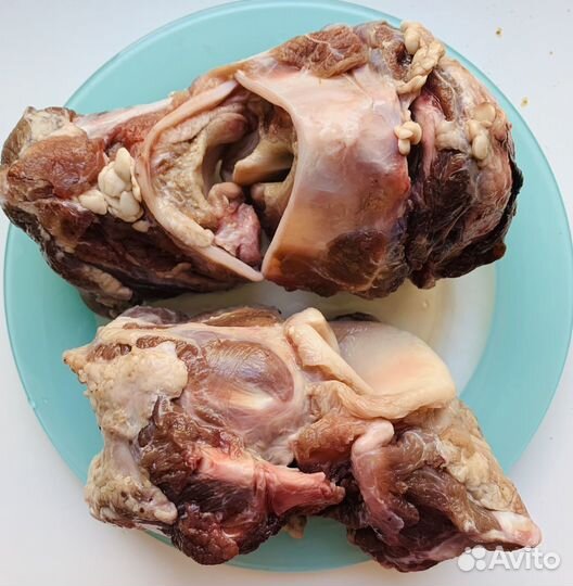 Мясо, говядина/птица, фарш, рыба для собак, кошек