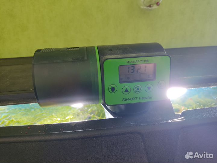 Аквариум с рыбками