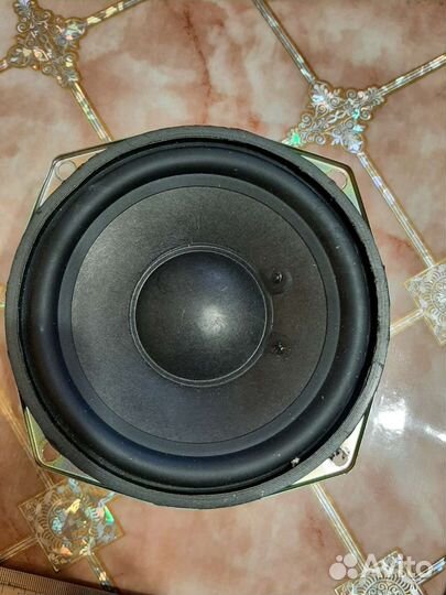 Динамики и колонки