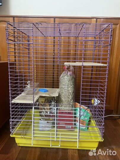 Клетка для грызунов бесплатно