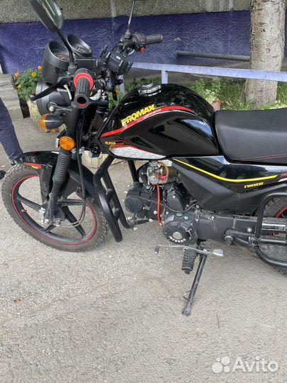 Alpha Tourist Max (Limited Edition)