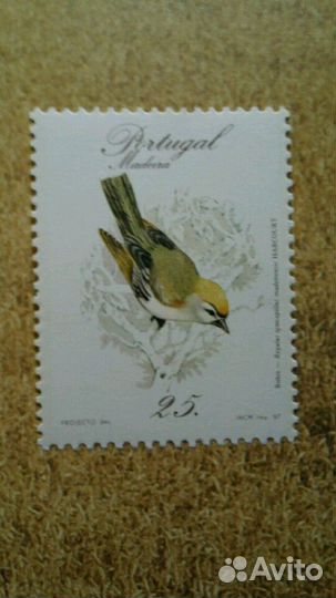 Марки коллекционные издание альбом