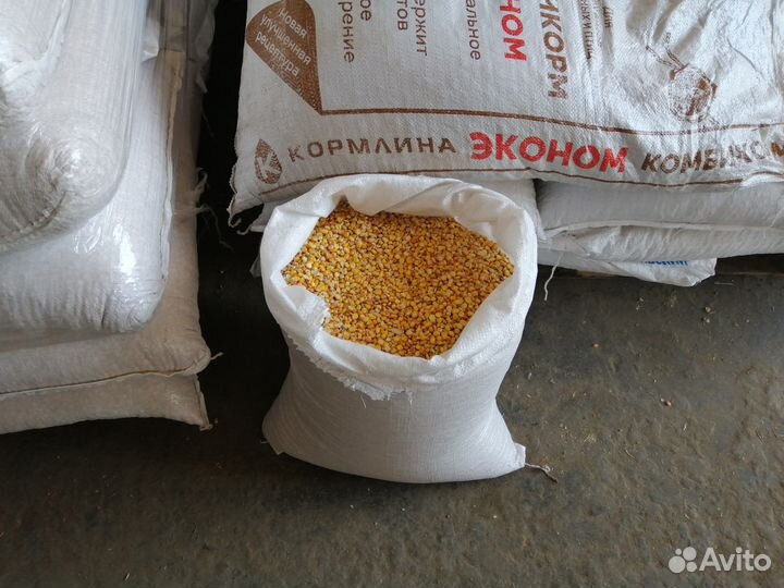 Зерно кукуруза пшеница ячмень овес