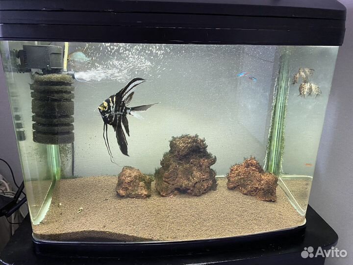 Аквариум
