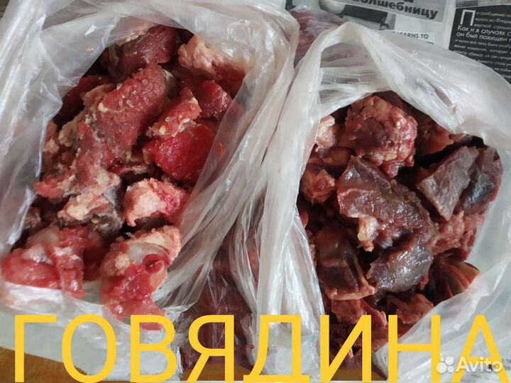 Корм для животных