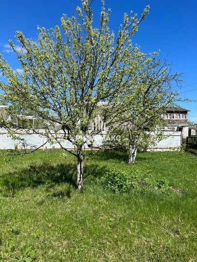 Участок 6 сот. (СНТ, ДНП)