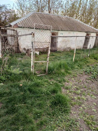 Дом 50,2 м² на участке 15 сот.