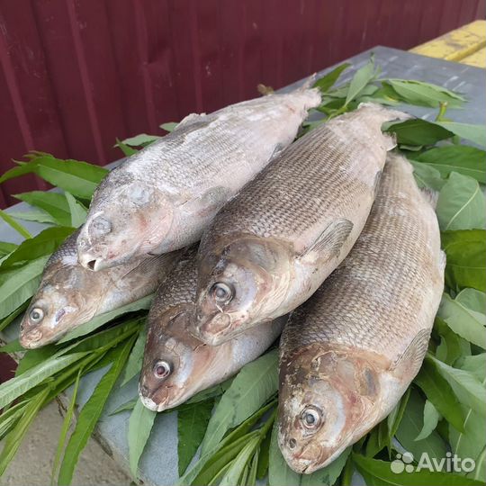 Рабочий коптильного цеха
