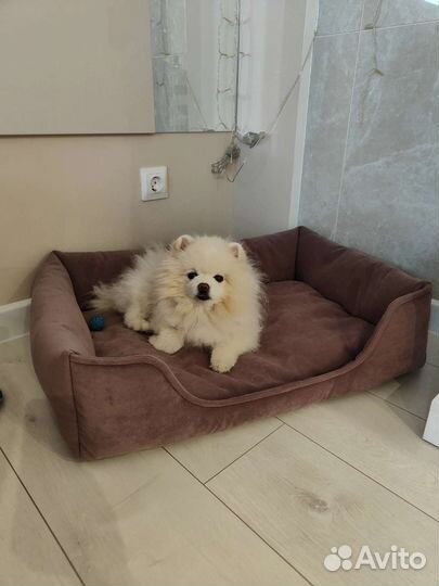 Лежанка для собак