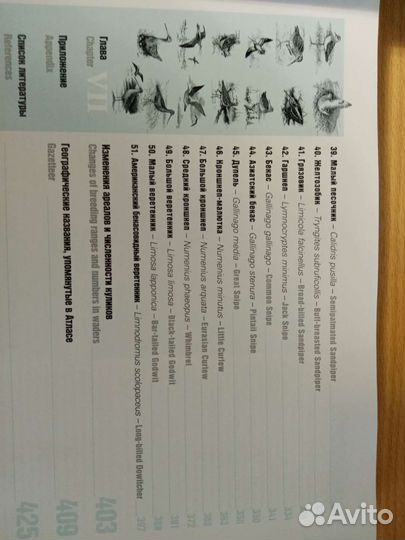 Помощник для охотников