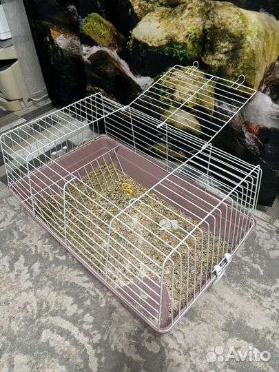 Клетка для грызунов большая