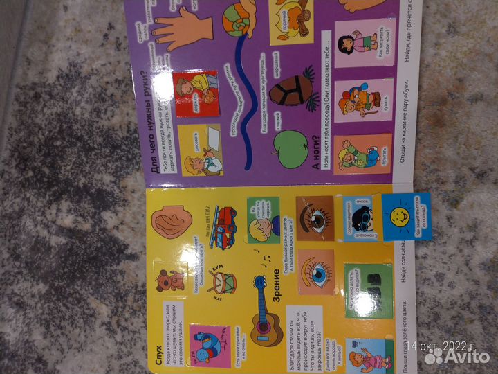 Энциклопедия. Тело человека. Книга с окошками