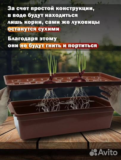 Контейнеры для выращивания лука