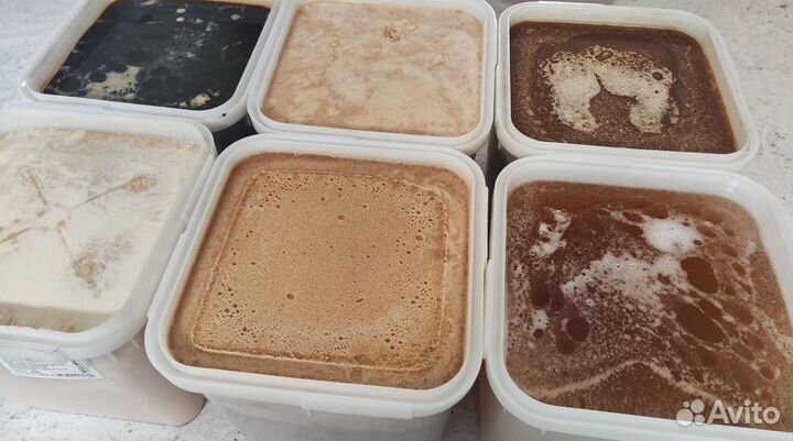 Натуральный мёд 2023 г (опт.)