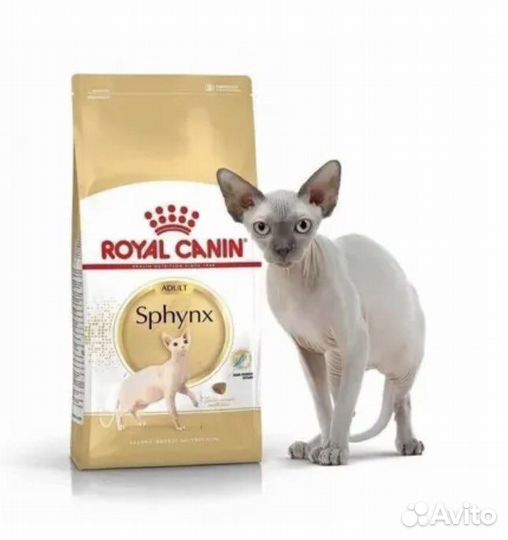 Корм роял канин 7 кг для сфинксов