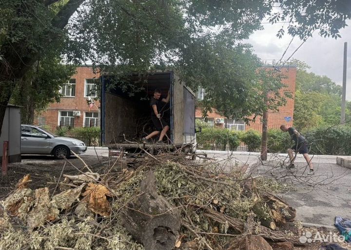 Вывоз мусора