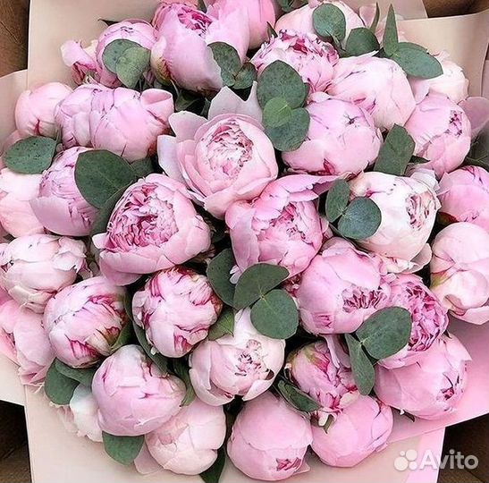 Пионы Букет