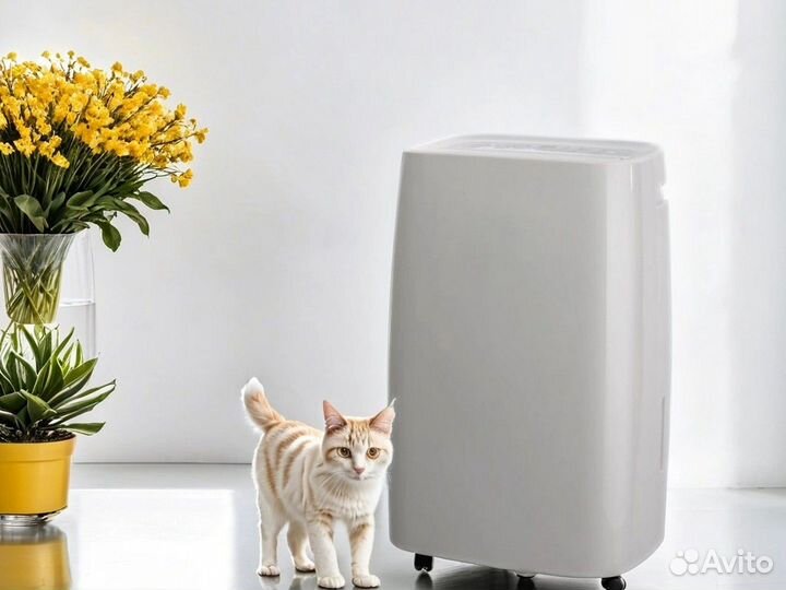 Осушитель воздуха для дома